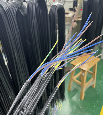 প্লাগ সহ PVC পাওয়ার তার
